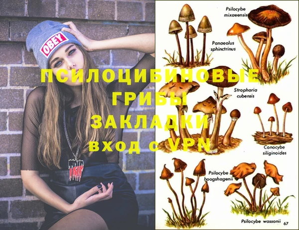 бошки Алексин
