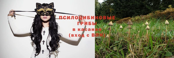 эйфоретик Алзамай