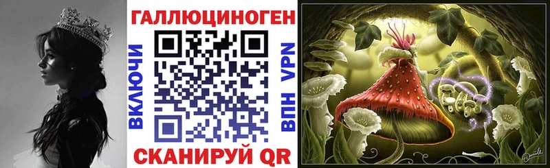 мега tor Остров Галлюциногенные грибы мицелий