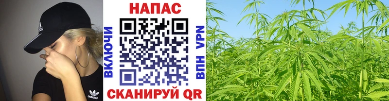 Канабис White Widow  Остров 